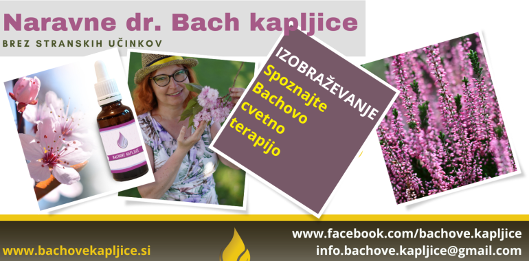 Izobraževanje: Spoznajte Bachovo cvetno terapijo