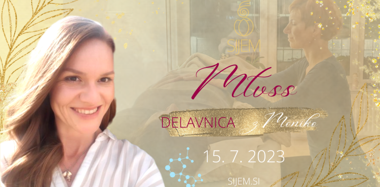 MTVSS delavnica telesnega procesa