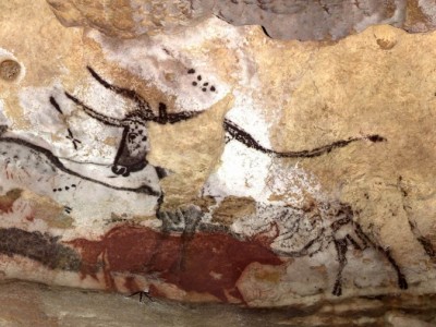 Žival Moči:  Zdravilna Moč Energije Bika