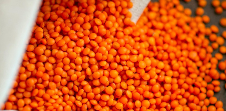 Kaj bo pa danes za večerjo?