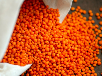 Kaj bo pa danes za večerjo?