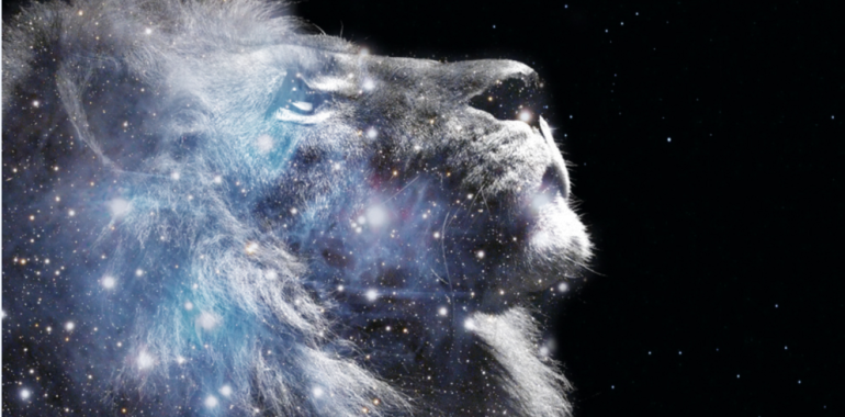 Meditacija: Levji portal in zlate kode ključev 8:8