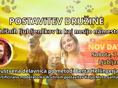 Postavitev družine: Vloga ljubljenčkov in kaj nosijo namesto nas