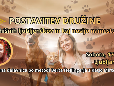 Postavitev družine: Vloga ljubljenčkov in kaj nosijo namesto nas
