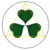 Magdalena Jankovec, intuitivna zdravilka, ThetaHealing, angeli, tarot,  refleksologija, regresoterapija 