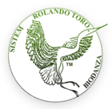 Biodanza - Sistem Rolando Toro, ples