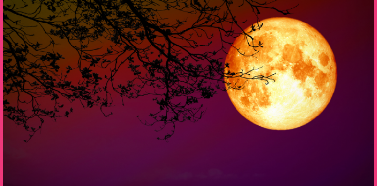 Sezona mrkov je tu: Lunin mrk – 19. 11. 2021 (djotiš)