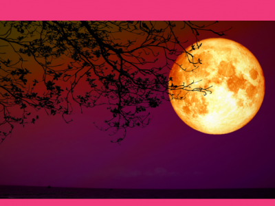 Sezona mrkov je tu: Lunin mrk – 19. 11. 2021 (djotiš)