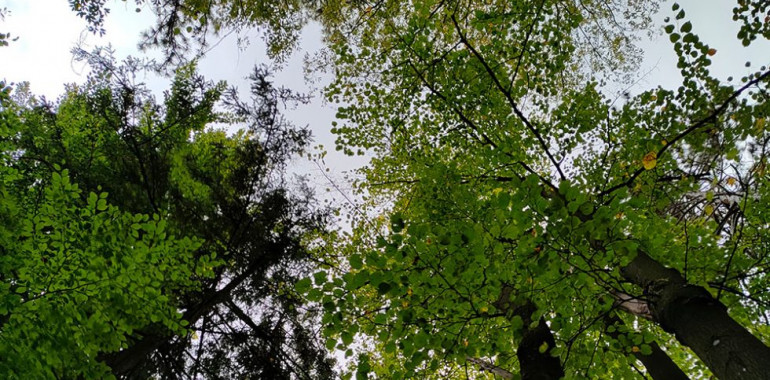 Mikrobiota je pomemben organ človeškega telesa