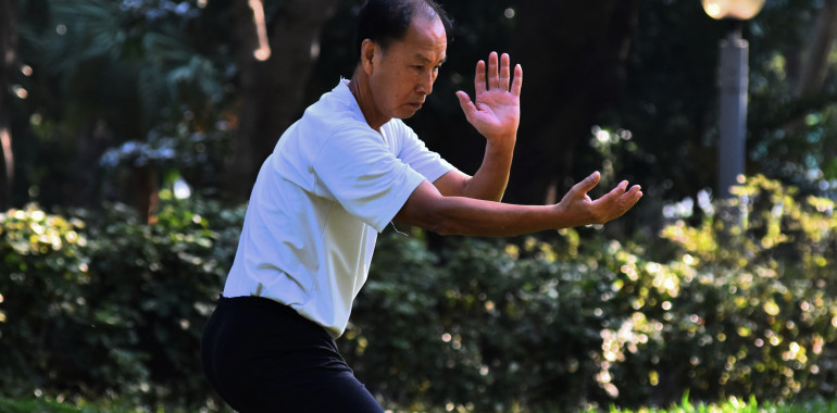 Qigong-Tai Chi začetni tečaj ONLINE ali v živo