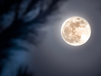 Meditacija ob polni Luni