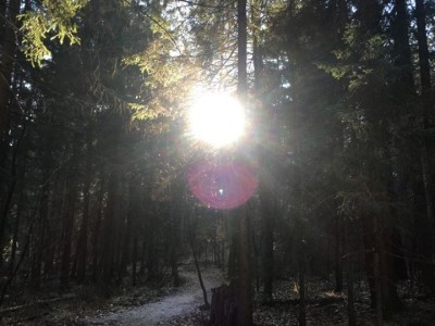 Kako misli vplivajo na naša življenja?