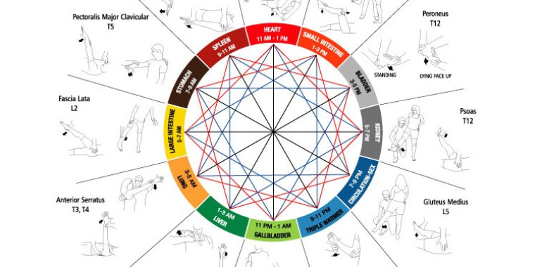 Brezplačni TOUCH FOR HEALTH webinar