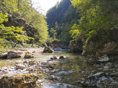 Masaža Zaživi svojo dušo