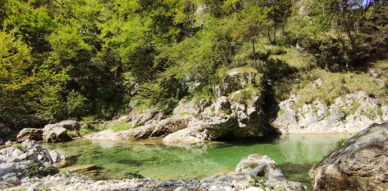 Odziv masirane na masažo Zaživi svojo dušo