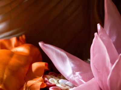 Mudra za zaščito srca