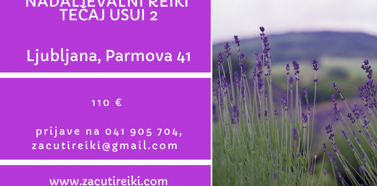 Nadaljevalni reiki tečaj-USUI2+gratis mentorstvo,diagnostika