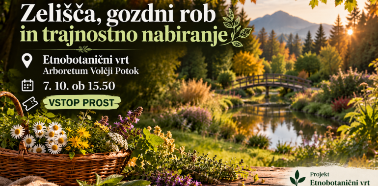 Zelišča, gozdni rob in trajnostno nabiranje