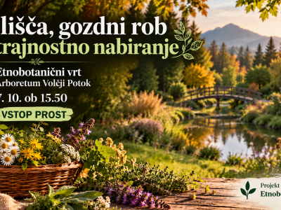 Zelišča, gozdni rob in trajnostno nabiranje