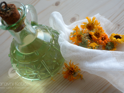 Spletni tečaj: Macerati in mazila