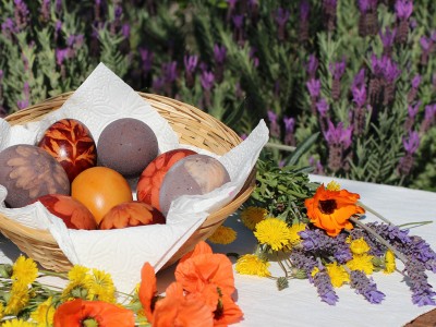 Naravno barvanje pirhov