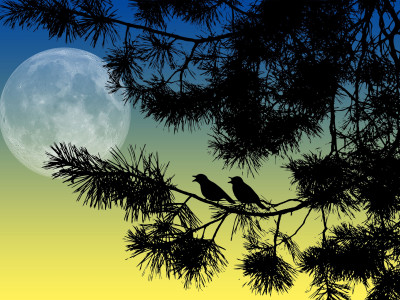 Prva polna luna leta 2024 prinaša energijo očiščenja in novih priložnosti!