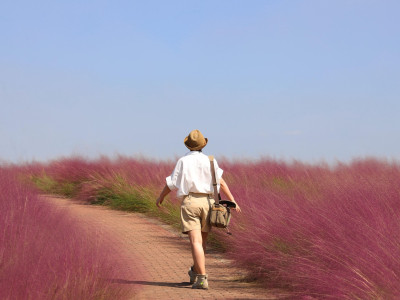 Tedenska energijska napoved (17.  - 22. 2. 2025): odpravljamo se na veliko življenjsko pot