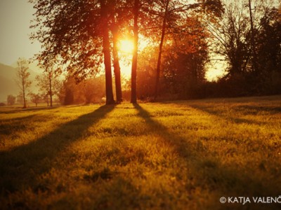 Izziv zaobljub, s katerimi smo zaključili staro leto in vstopili v novega