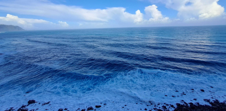 Varno zavetje meditacije