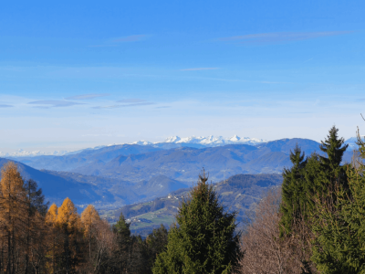 Oddih z Društvom Satsanga: Sočutno Srce