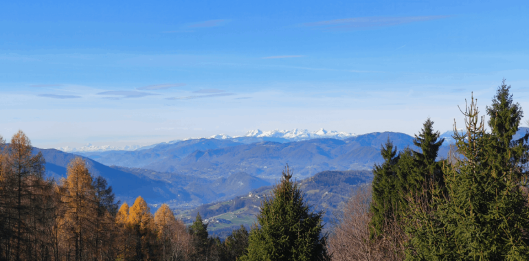 Oddih z Društvom Satsanga: Sočutno Srce
