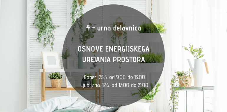  Delavnica: “Osnove energijskega urejanja prostora”.