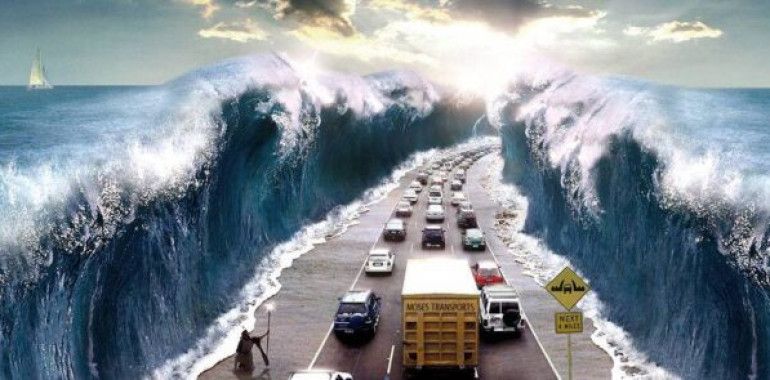 Mojzes: Vzgoja duhovnega voditelja