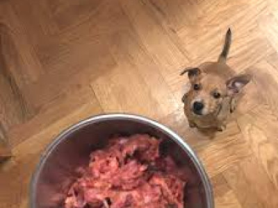 L J U B E Z E N malo D R U G A Č E