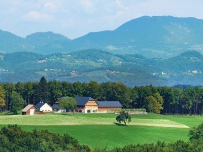 Mamina solata in kmečki pogovori