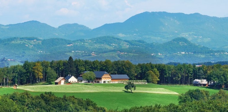 Mamina solata in kmečki pogovori