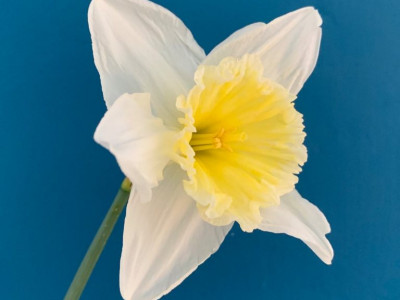 Po poti ljubezni – 1.del