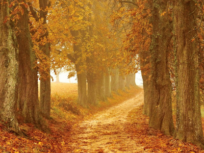 Napoved za obdobje od 25.10. do 30.10. skozi interpretacijo Human Design-a