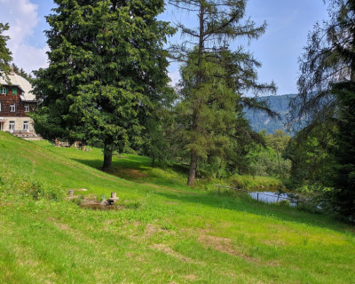 Meditacijski retreat na Pohorju 