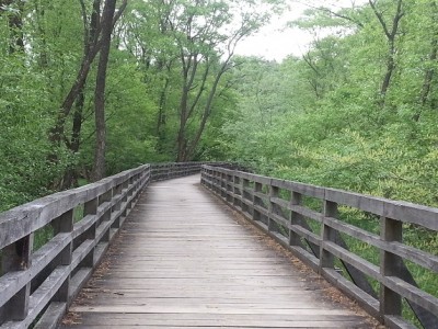 Telesni procesi za odpravljanje različnih stanj