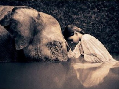 Ponižnost – Biblijska lastnost ali notranja moč?