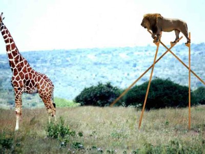 V teoriji sem dobra, v praksi pa pogorim!