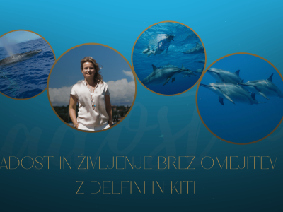 Radost in življenje brez omejitev z delfini in kiti