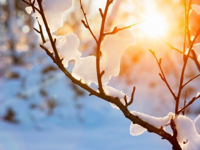 Skupno z občutji sočutja, ljubezni in empatije