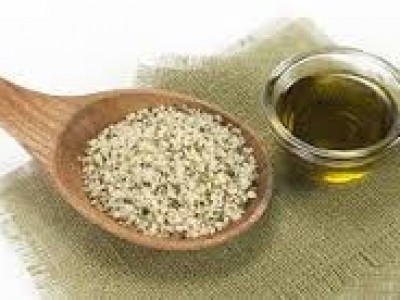 Konopljino olje za hujšanje