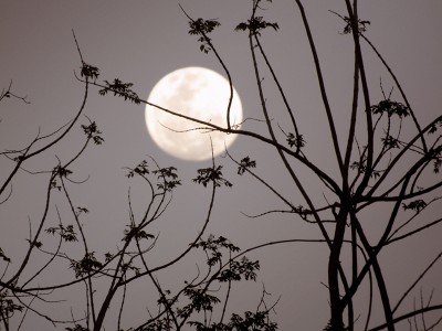 Sedem principov Življenja