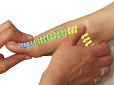 Kako odpraviti bolečine v hrbtenici  - po Tibetanskem izročilu?