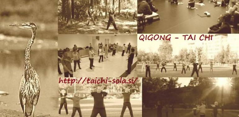 Qigong in Tai Chi začetni tečaj-online
