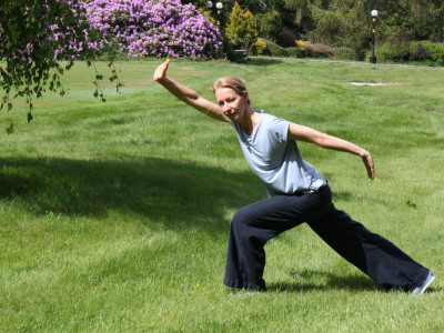 Qigong-Tai Chi začetni ONLINE ali v živo