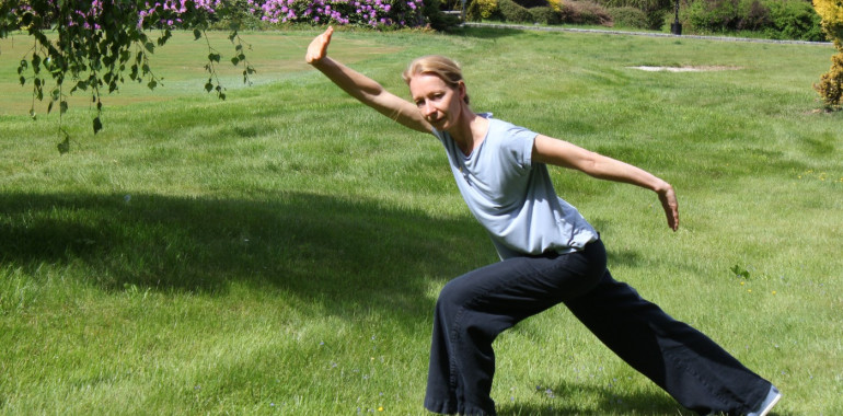 Qigong-Tai Chi začetni ONLINE ali v živo